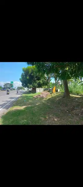 SEBIDANG TANAH DI PINGGIR JLN BYPASS I B  MANTRA SABA BALI