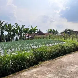 Di Jual Tanah di Kemuning Ngargoyoso Dekat wisata Air Terhune