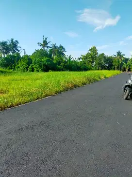 Tanah Kavling di Menwi, 5 menit ke Pantai Kedungu