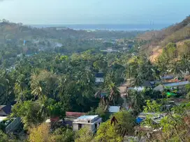 Tanah murah dekat central Kuta Mandalika Lombok. Cocok untuk villa