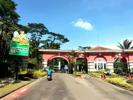 Sentul: Tanah Murah 3 Juta-an Dekat Taman Budaya, SHM Terjamin