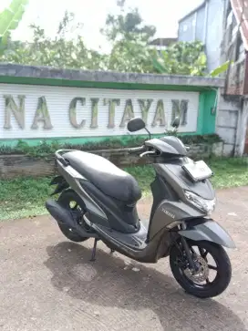 92% : FOR SALE YAMAHA FREEGO S 2019 PAJAK ON F KABUPATEN