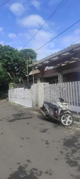 Disewakann Rumah lama terawat, sederhana, cipaganti