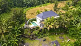 Modern villa Beautiful view field rice freehold Gianyar Bali