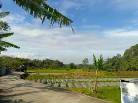 Kavling Villa View Cantik Dekat Sungai di Wanayasa Purwakarta