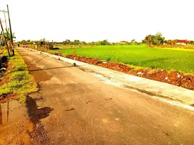 tanah sawah zona industri di sragen masaran