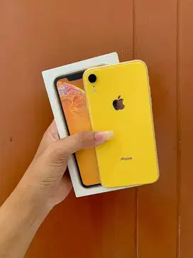 Iphone xr 128gb second resmi ibox