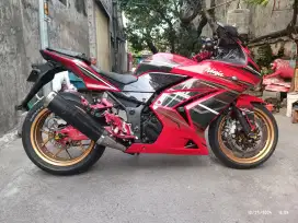 Kawasaki Ninja 250 Karbu 2010