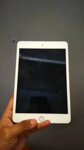 Ipad Mini 5 256GB Wifi Only