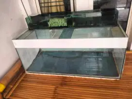 Dijual Cepat Murah Aquarium Besar Kaca Bening Bagus