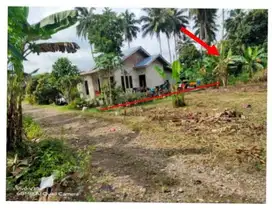 DIJUAL TANAH MELALUI LELANG WILAYAH MANADO !