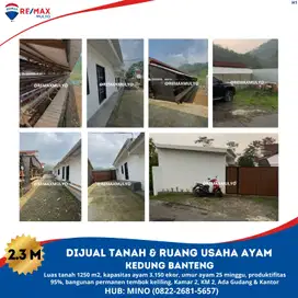 Dijual tanah & Ruang Usaha Ayam Siap Pakai