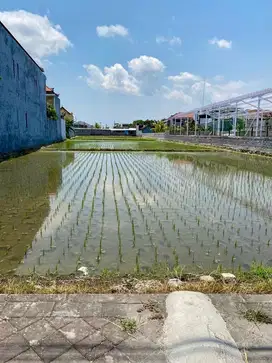 Tanah Buduk Mengwi Badung Bali