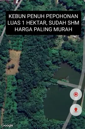 Kebun 1 Hektar TERMURAH + SHM, Desa Padang Lampe, Ma'rang