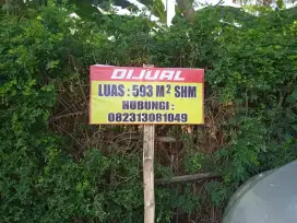 Jual tanah di Sumbang, Bojonegoro