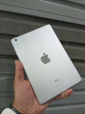 iPad Mini 2 16gb