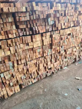 Jual kayu sengon murah,