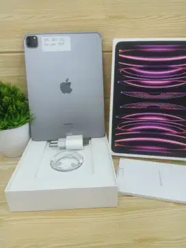 IPad Pro Chip M2 256GB 11 Inch Wifi Only Ex Garansi Resmi