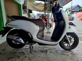 Scoopy 2021 prestige