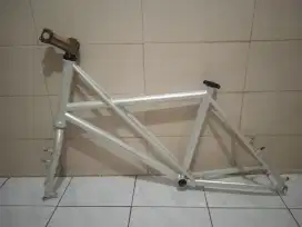 Costum frameset minivelo tyrell