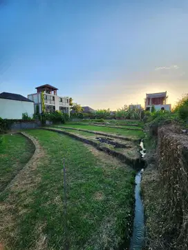 BUC tanah Beachside di area Cemagi badung Bali 100 m ke pantai