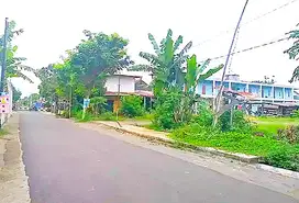 Tanah 6000 Meter Shm Pekarangan Jogja