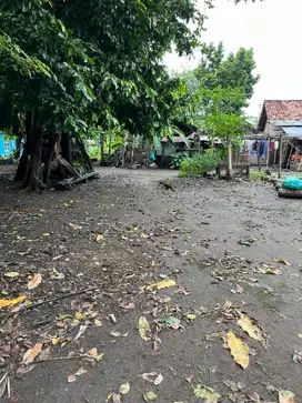 Tanah Pekarangan strategis dekat komplek pemkab 2 bantul mobil masuk