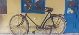 Speda fongers BB60