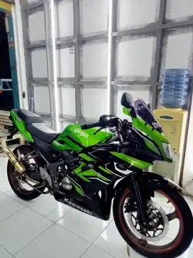 Kawasaki ninja rr new 2015