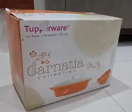 Tupperware Carnatia Collection
