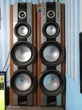 Speaker Polytron XBR