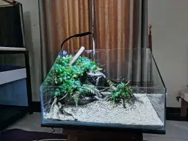 Aquascape paludarium