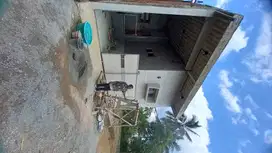 Rumah Murah Semampir Banjarnegara