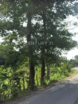 Tanah Lahan Kosong Daerah Cikande Rangkasbitung Serang Banten