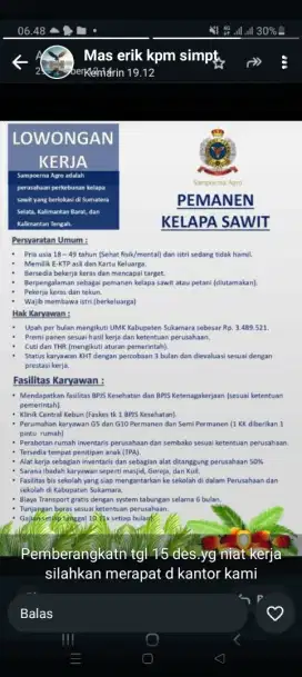 Loker perkebunan kelapa sawit