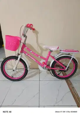 Sepeda anak evergreen pink