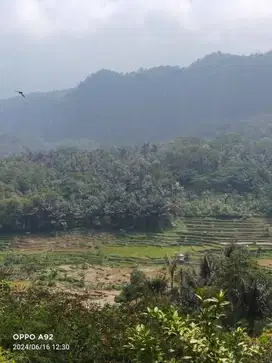 Dijual sawah produktif dekat lokasi lokasi wisata Curug Citambur