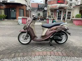 FINO PREMIUM 2020 (MULUSS)