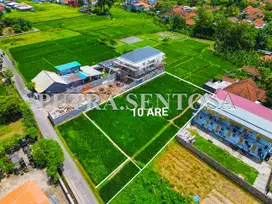 LAND FOR RENT NORT CANGGU BUDUK