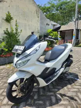 pcx 2019 AD Solo