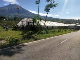 TANAH MURAH ISTIMEWA PINGGIR JALAN RAYA NEPAL VAN JAVA