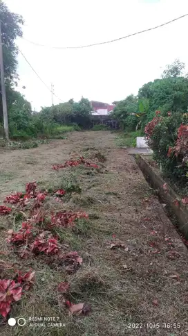 Dijual Tanah Pinggir jalan Murah