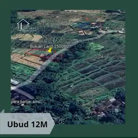 DIJUAL TANAH DI UBUD DENGAN VIEW SAWAH ABADI