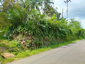 Tanah kebun durian 2996 m Sumbang dekat jln Raya Baturaden Timur