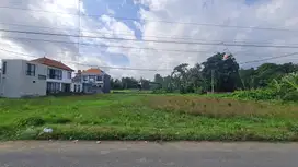 Dijual Tanah Bagus  Kemenuh Gianyar