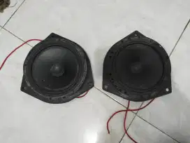 Speaker BM audio USA