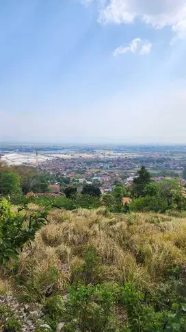 Dijual lahan 1Ha di Jatinangor 500.000/M2