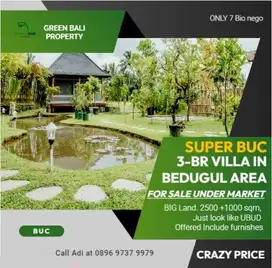 Family villa with big land for sale near Bedugul and jatiluwih area