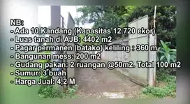 Jual Cepat Tanah Eks Peternakan Di Pabuaran Rumbin Bogor