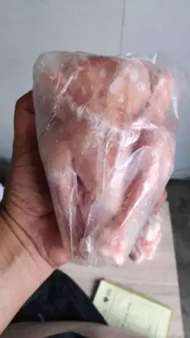 Ayam broiler kecil cocok untuk lauk